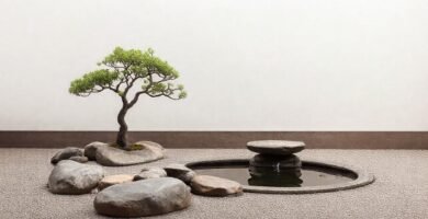 Jardín zen: paz y serenidad minimalista