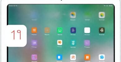 iPad actualizado: organización clara e intuitiva