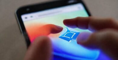 Safari transfiere datos con colores vibrantes